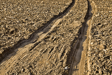 Image showing track on the field