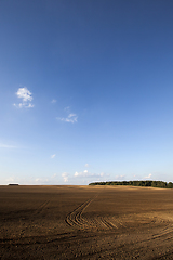 Image showing landscape on the field, ruts