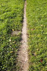 Image showing footpath in the field