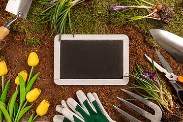 Image showing Blackboard on a gardening concept background