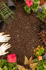 Image showing Gardening frame concept