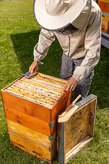 Image showing Man in a bee suit inspecting a beehive.