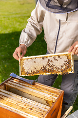 Image showing Beekeeper holding a honeycomb