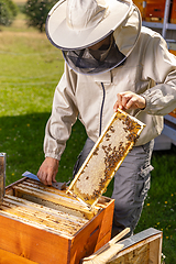 Image showing Beekeeper in protective workwear working collect honey.