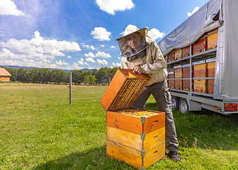 Image showing Farmer wearing bee suit working with honeycomb