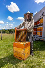 Image showing Beekeeping in countryside.