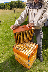 Image showing Beekeeper holding the beehive frame