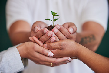 Image showing Nature, plant and hands of business people support new tree life, green leaf grow or agriculture project development. Sustainable, environment investment and closeup team helping eco friendly future