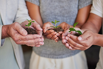 Image showing Hands, new plant and palm of business people with climate change help, eco friendly community service and agriculture care. Sustainability commitment, company carbon footprint or team hope for growth