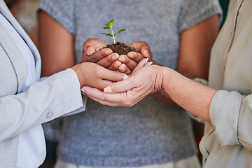 Image showing Plant grow, hands and professional people support sustainability, green charity project or eco business development. Earth Day kindness, fertilizer soil and closeup team helping future climate change