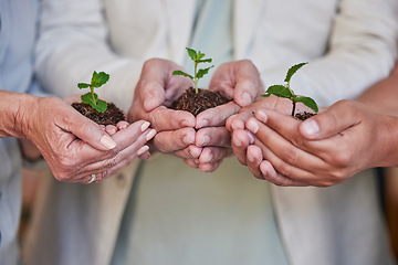 Image showing Earth day, nature plants and hands of business people with new tree life, green leaf or nurture agriculture growth. Sustainability, community charity and corporate team help eco friendly environment