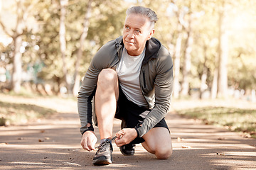 Image showing Senior man, tie shoelace and running, fitness and cardio in the park, start and health, wellness and vitality. Runner is ready for exercise, athlete and sports with sneakers, path outdoor and active