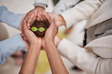 Image showing Plant, soil and hands of business team with sustainability, growth or development. Above group of people for earth day, agriculture and eco friendly investment or support and trust with collaboration
