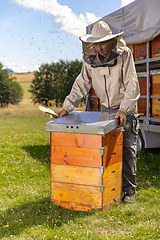 Image showing Beekeeper working collect honey