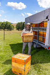 Image showing Beekeeper holds a honey cells