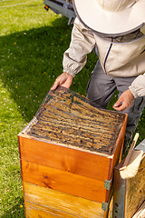 Image showing Beekeepers working in the hives