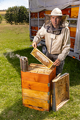 Image showing Portrait of beekeeper