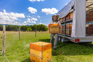 Image showing Beekeeper carrying honeycomb crate at apiary