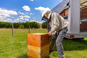 Image showing Beekeeper inspecting a beehive