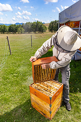 Image showing Beekeeper holding the beehive frame