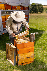 Image showing Beekeeper in protective workwear