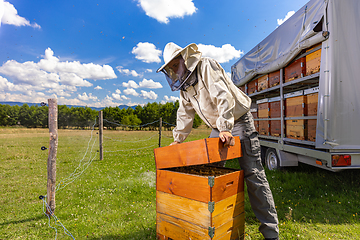 Image showing Man in a protective suit inspecting a beehive