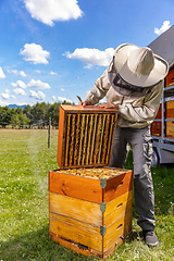 Image showing Beekeeping in countryside.