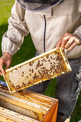 Image showing Beekeeper holding a honeycomb