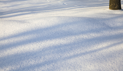 Image showing shadows from trees