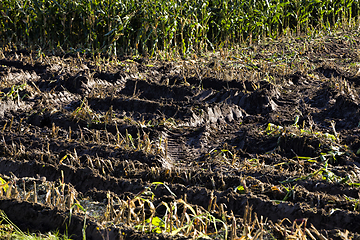 Image showing dirt and ruts from harvesters