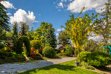 Image showing Beautiful summer garden concept