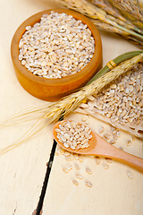Image showing organic barley grains