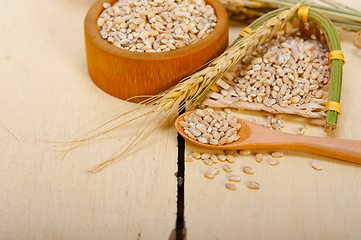 Image showing organic wheat grains