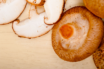 Image showing shiitake mushrooms