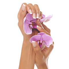 Image showing Woman hands, beauty and orchid flower with manicure nails after spa or beauty salon treatment in studio. Body of female model for floral background, health and wellness with natural cosmetics