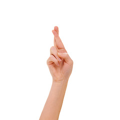 Image showing Fingers crossed, hand and sign language gesture isolated against a studio white background. Luck, hope and wishing closeup with copy space showing optimism, superstition and positivity