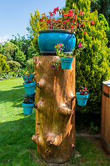 Image showing Beautiful summer garden concept