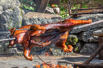 Image showing Piglet on the spit, open fire grill in outdoor