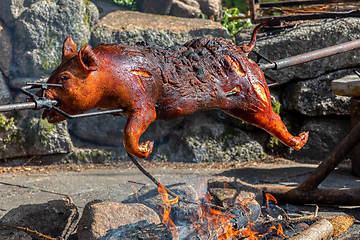 Image showing Piglet on the spit, open fire grill in outdoor