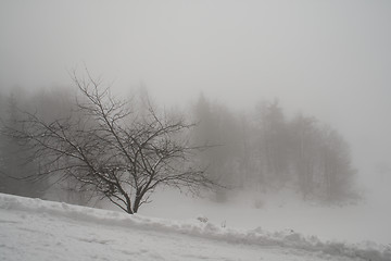 Image showing Fog and snow