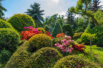 Image showing Beautiful summer garden concept