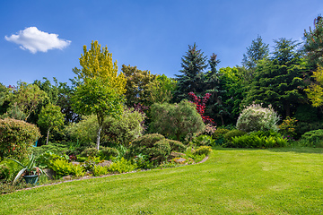 Image showing Beautiful summer garden concept