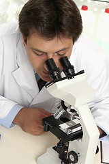 Image showing Observation through microscope