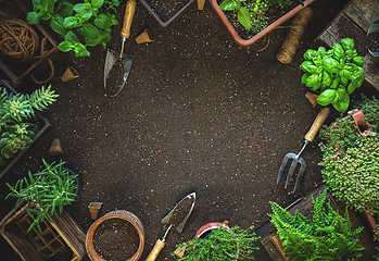 Image showing Gardening tools and herbs