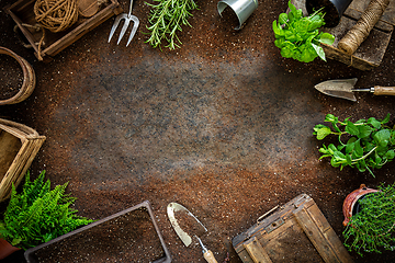 Image showing Gardening tools and herbs