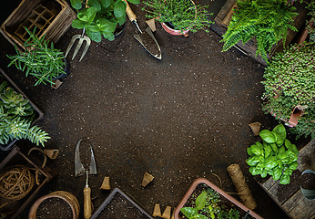 Image showing Hobby garden concept