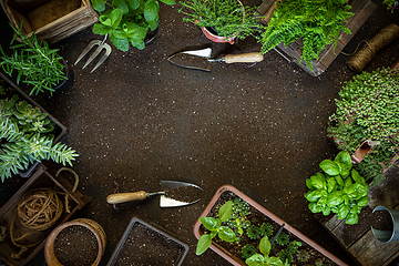 Image showing Gardening frame composition