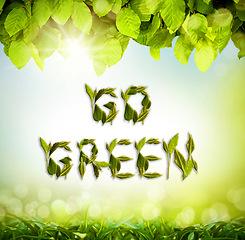 Image showing Lens flare, go green and leaves for sustainability, eco friendly and gradient background. Plants, plants and poster for earth day, environment and awareness for conservation, nature and natural care