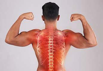 Image showing Man, x ray spine and studio with pain, back or bodybuilder for muscle, bicep arms or development by background. Young model, fitness or chiropractic overlay for pain, injury or strong core for body