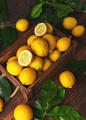 Image showing Fresh lemons in crate